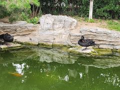 -三里河公园