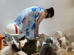 -1013 PET SHOP精品宠物商店(丁香店)