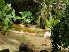 -海南热带野生动植物园