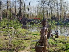 -合肥滨湖国家森林公园