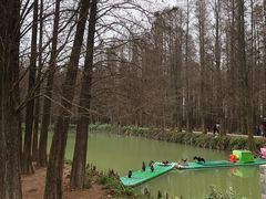 -星湖旅游景区七星岩