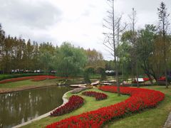 -东平国家森林公园