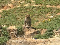 -石家庄市动物园