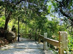 -草庵摩尼教遗址公园