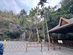 -西双版纳原始森林公园
