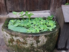 -尧坝古镇