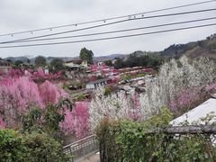 -玫瑰庄园·自助烧烤·烤全羊·团建拓展(龙泉山店)
