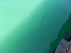 -蓝湾碧波·老字号·疍家非遗海上餐厅