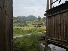 -香猪美食(中心店)