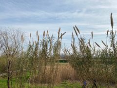 -盘龙城国家考古遗址公园