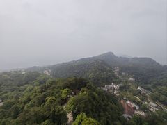 -大金鹰园