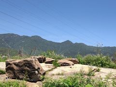 -白水寺森林公园