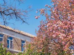 -天津五大道文化旅游区