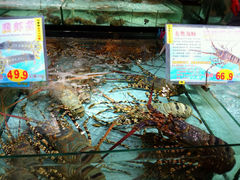 android_upload_pic-渔民新村(番禺总店)