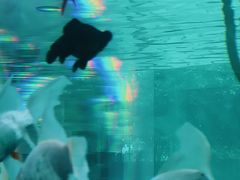 -中国杭州低碳科技馆