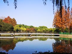 -黄兴公园