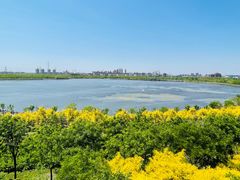 -天津东丽湖风景区