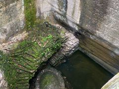 -蛇蟠岛