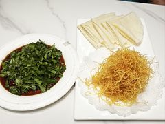 -丁老爷子苏香圆