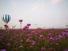 -渔岛海洋度假区