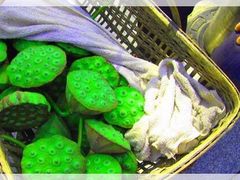 -韶山毛泽东同志故居