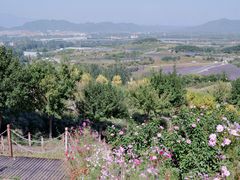 -密云玫瑰情园