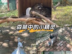 -泉州海丝野生动物世界