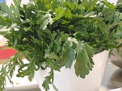 -颜氏双江清水鱼一养身火锅(磁器口店)