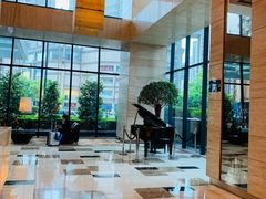 -上海龙之梦万丽酒店