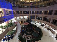 -弘毅大酒店(武汉大学国际学术交流中心店)