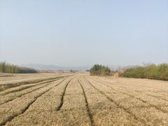-良渚古城遗址公园
