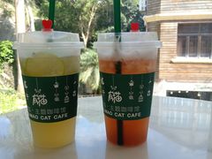 -有猫主题·治愈系猫咖(曾厝垵店)