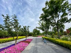 -上海山野camping·户外天幕烧烤·团建拓展营地