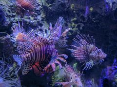 -太平洋海底世界