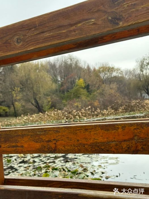 沈阳植物园图片