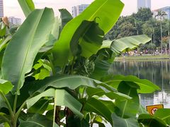 -晓港公园