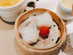 -茶港·点心·啫啫煲(王府井店)