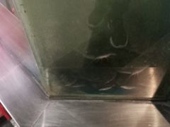 -鱼酷活鱼烤鱼(梅江印象城店)