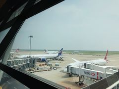 -上海浦东国际机场-T2航站楼