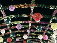 -婺源梦里老家大型山水实景演出