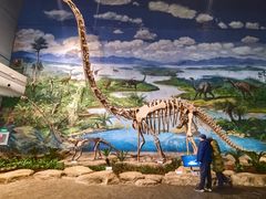 -自贡恐龙博物馆