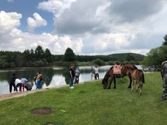 -塞罕坝国家级自然保护区