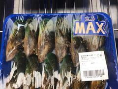 -盒马X会员店(王府井奥莱UP TOWN店)
