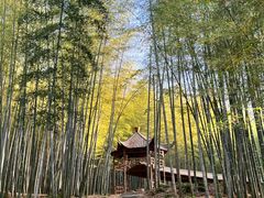-宜兴龙背山森林公园