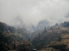 -鹿院坪生态旅游景区