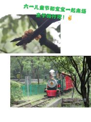 -麦粒鸟亲子游
