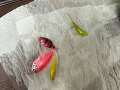 -双季花艺园艺市场(浦东店)