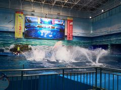 -多彩贵州城极地海洋世界