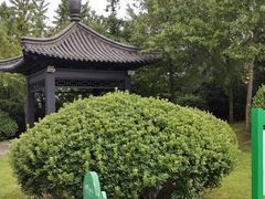 -宜兴龙背山森林公园