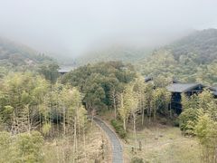 -大唐贡茶院